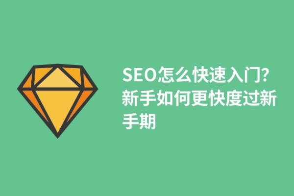 SEO怎么快速入門(mén)？新手如何更快度過(guò)新手期