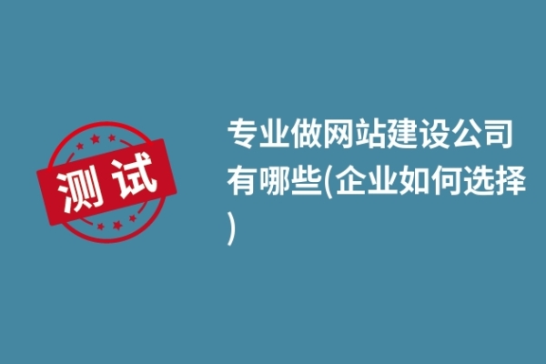 專業(yè)做網(wǎng)站建設(shè)公司有哪些(企業(yè)如何選擇)