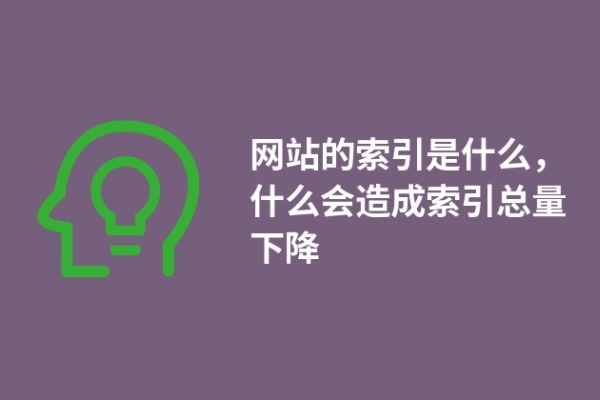 網站的索引是什么，什么會造成索引總量下降