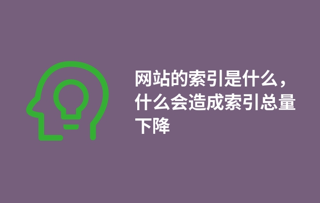 網(wǎng)站的索引是什么，什么會造成索引總量下降