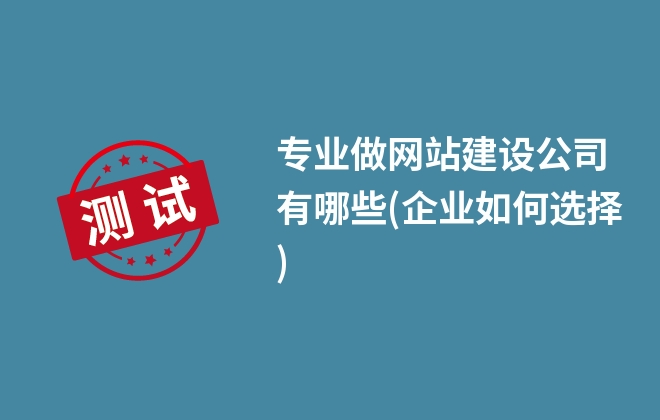 專業(yè)做網(wǎng)站建設(shè)公司有哪些(企業(yè)如何選擇)